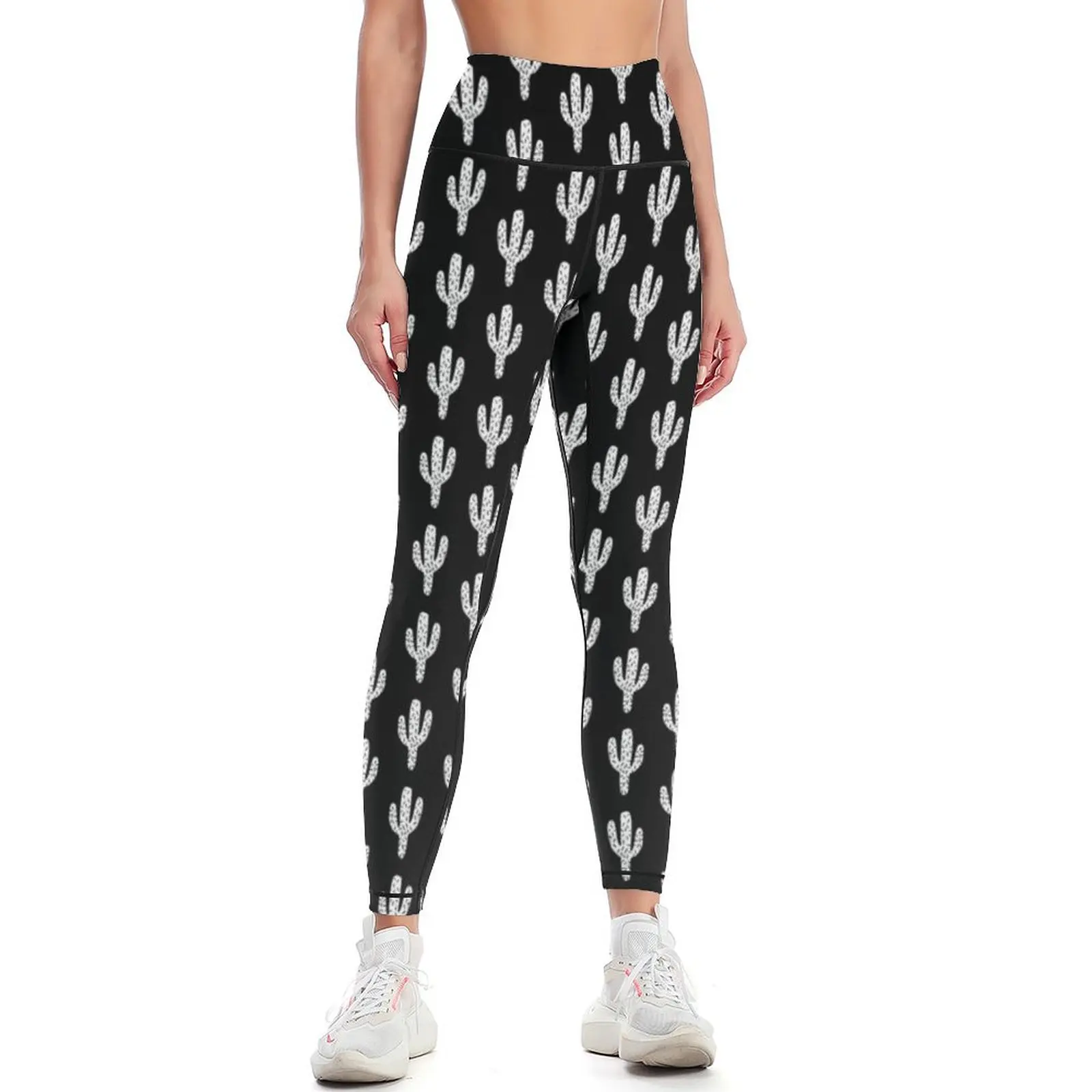 リノカットサボテン、南西部の砂漠、ソーカルカリフォルニア、サ - Yoga Fitness California のレビューと価格