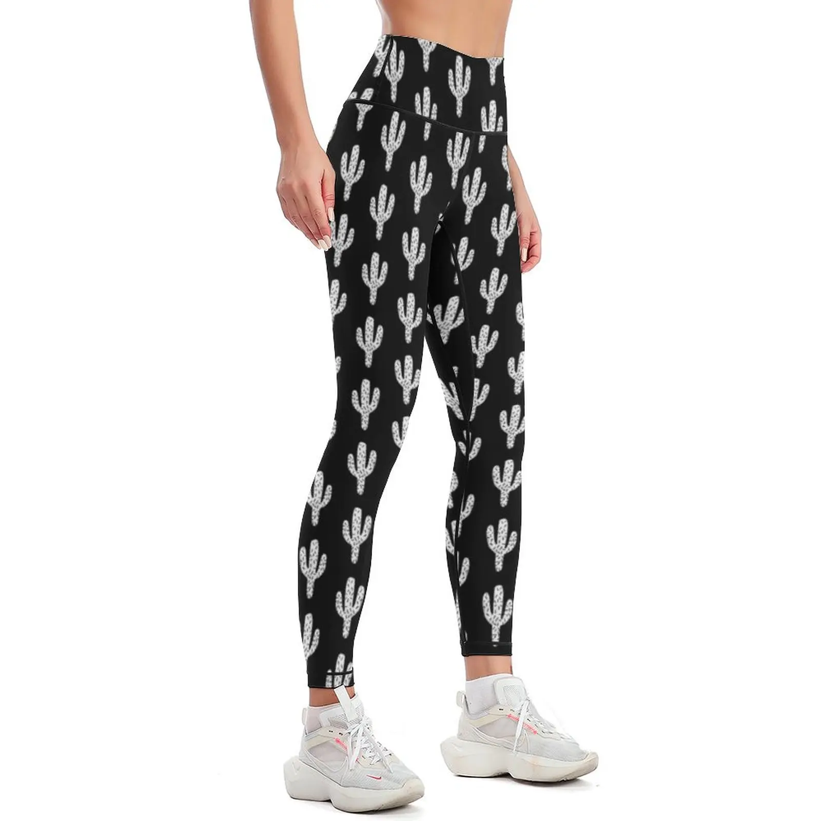 リノカットサボテン、南西部の砂漠、ソーカルカリフォルニア、サ - Yoga Fitness California のレビューと価格
