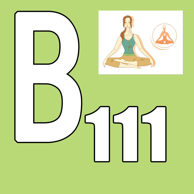 激安セール 最新発売 2026.Q1 新コース BB 111 - Yoga Fitness Course のレビューと価格